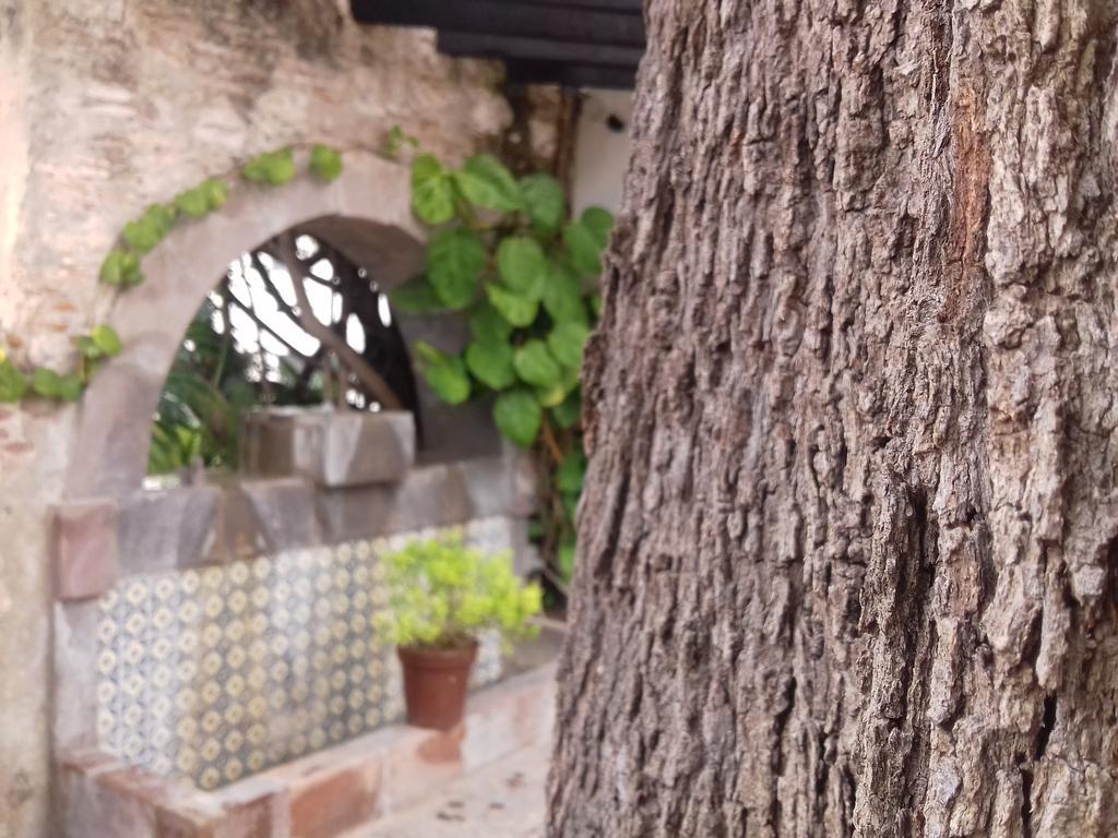 Hotel & Spa Dona Urraca San Miguel De Allende Exterior photo